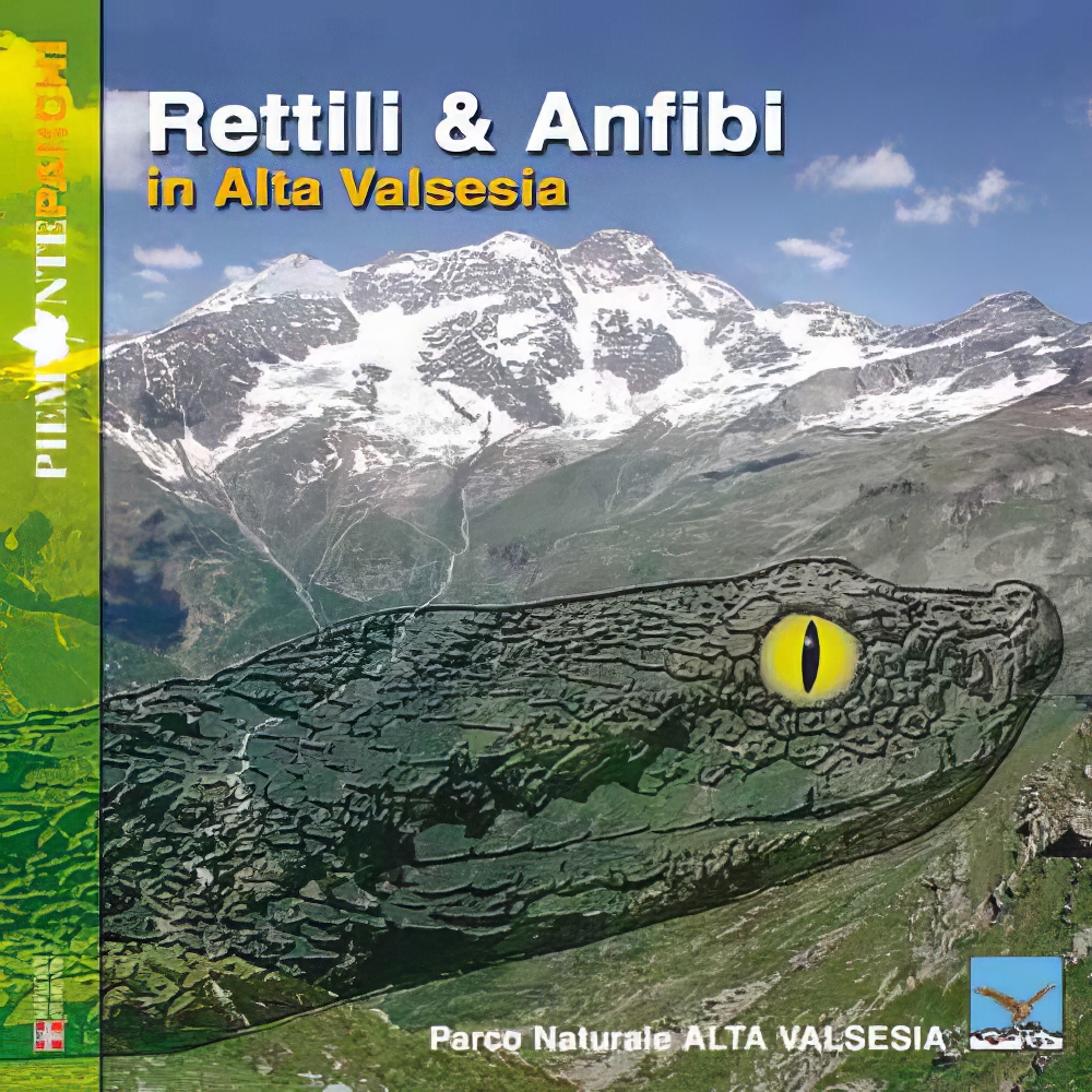 Rettili e Anfibi