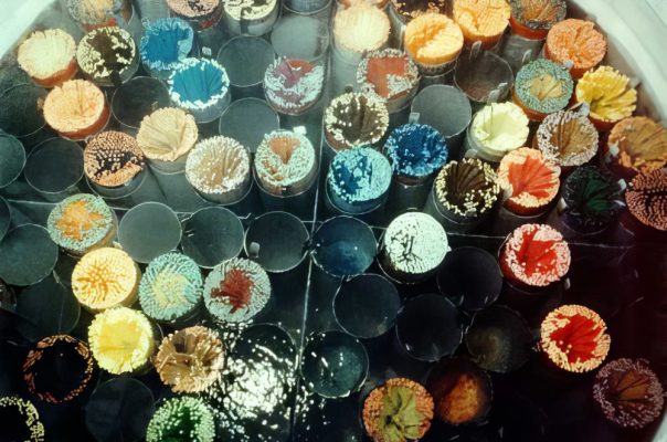 Colori