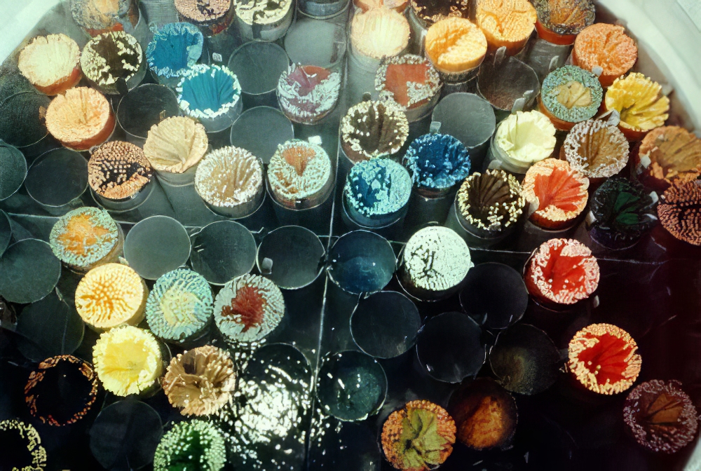 Colori